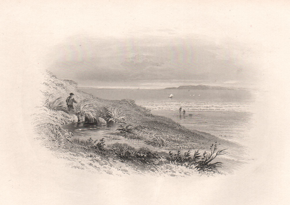 Myles Standish's Spring, DUXBURY, Massachusetts. Pilgrim fathers. BARTLETT 1854